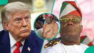 Kamfanin da Atiku ya dauko haya sun fara kai bayanan Tinubu wajen Trump a Amurka