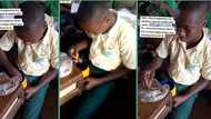 Nigerian boy caught on camera eating amala during lunch break, video stirs reactions online