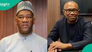 2027 Election: "Obi should not be anyone's VP": Datti Baba-Ahmed declares, gives reasons