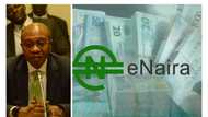 CBN speaks on why it introduced eNaira, steps up effort to boost cash supply to Nigerians