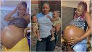"Mummy I'm pregnant": Beautiful lady shows off her large baby bump as she welcomes twins in viral video