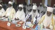 Northern elders to Buhari: Our region under siege from Boko Haram, bandits