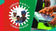 Court gives final judgment on exclusion of Labour party from FCT council polls