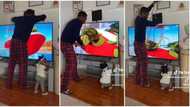 "Good idea": Frustrated dad uses long rope to secure TV as baby wants to break it, video causes frenzy