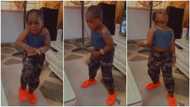 Kid shows off moves to Bad Boy Timz's song, dances in front of TV, video stirs reactions