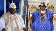 Breaking: “I’ve received thousands of text messages”, Dokubo-Asari raises alarm on assassination threats