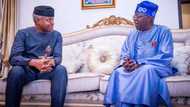 2023 presidency: VP Yemi Osinbajo? El-Rufai finally reveals cabal working against Tinubu