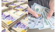 New notes spikes demand for naira, exchanges for N730 per dollar in the parallel market