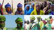 Largest ethnic group in Africa unveiled, you will find its people in these countries