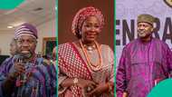 Yoruba council alleges ethnic bullying of LASU lecturer, sends message to Ohanaeze Ndigbo