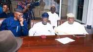 2023: Wike's camp reportedly mulls Mimiko as Ayu's replacement