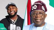 Duk da shan wahala a zaɓen Osun, Davido ya faɗi yadda Tinubu zai yi nasara a 2027