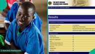 Boy who dropped out of seminary and scored 342 in JAMB trends as parents take painful decision