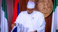 Battle rages as 36 state governors drag President Buhari to Supreme Court