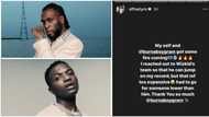 Burna Boy fingers Wizkid FC as brains behind viral posts by Offset & his ex Stefflon Don against him