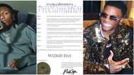 “Popsy for a reason”: fans argue about Wizkid Day in Minnesota allegedly declared by governor Mark Dayton