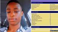 "Finally my WAEC result is out": Nigerian boy gets A1 in civic, shows off scores in all subjects, photo trends