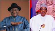 2023: Jigon APC ya bayyana matsayar Buhari a kan takarar Goodluck Jonathan