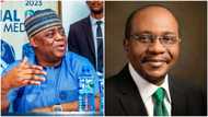 Alleged terrorism: Tension as APC chieftain tackles Emefiele, accuses CBN governor of refusing to report to DSS