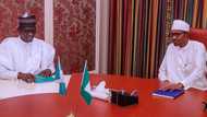 OPINION: Why Buhari should not protect Mai Mala Buni by Yerima Bulama