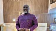 Insecurity, Corruption, nepotism characteristics of Buhari's government, Dino Melaye claims