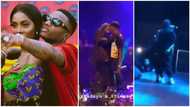 Wizkid and Tiwa Savage kiss on stage during performance in France