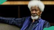 2023 presidency: How Obidients were used by some ex-generals, Soyinka reveals