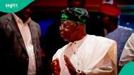 2027: SGF Akume, Gov Sule, other north central leaders set highest-ever vote target for Tinubu