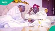 Zaben 2027: Manyan sarakuna 7 a Najeriya da suka fito fili suka goyi bayan Bola Tinubu