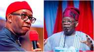 New report reveals why southeast should vote Tinubu, not Okowa