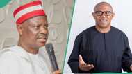 2027: Labour Party reacts as Kwankwaso 'offers to be Obi’s running mate', details surface