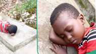 Video of little boy sleeping on his grandmother's grave emerges online, breaks hearts