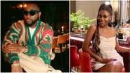 "Can't wait to change Imade's last name": Davido's baby mama Sophia insinuates he's a deadbeat, shares details