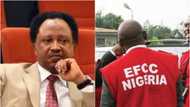 EFCC gets court order to detain Shehu Sani for 14 days as complainant confronts ex-senator