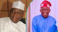 How Tinubu is using presidential power to coerce PDP governors into APC, Lamido explains