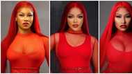 Celebrity recreation: Just like Nengi, Tacha replicates Nicki Minaj's red monochrome look