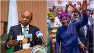 Lagos 2023 guber: Emefiele plotting with Rhodes-Vivour to unseat Sanwo-Olu? CBN spills