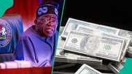 Nigeria’s capital importation hit $10.37bn in Q1, 10 banks records highest share