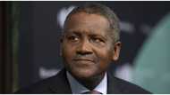 Dangote offers automatic employment to Kano varsity graduates