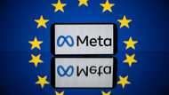 Ireland fines Meta 91 mn euros over EU data breach