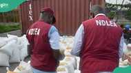 NDLEA declares 4 members of top Nigerian drug cartel wanted, releases photos