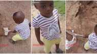 Cute video shows moment a little Nigerian boy saw dad filling sack with sand, collects the shovel & helps him