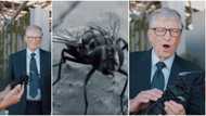 Man gives billionaire Bill Gates dead fly as gift in video, gives reason for his action, social media reacts