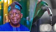 Federal government lists 11 major economic reforms implemented since May 2023