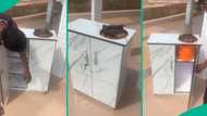 Creative man builds portable kitchen cabinet with gas cooker space, Nigerians react