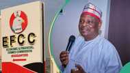 “Thank God that we are not all 3”: Kano NNPP boss speaks on EFCC probing Kwankwaso