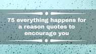 75 everything happens for a reason quotes to encourage you