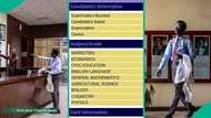 WAEC 2025: Man calls on exam board to investigate results of 4 students, posts photos