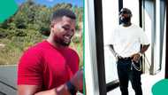 Davido gets key political advice from prominent content creator, "huge voice"
