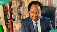 “Musa for Gate”: Shehu Sani discloses implication of N70,000 minimum wage